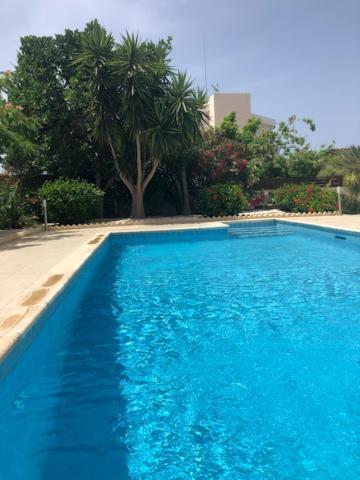 Villa Olivia, Корал-Бэй Экстерьер фото